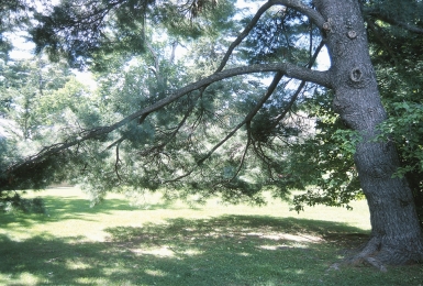 19008150