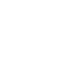 icon-ptoelectronics-white