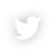 icon_sm_white_twitter