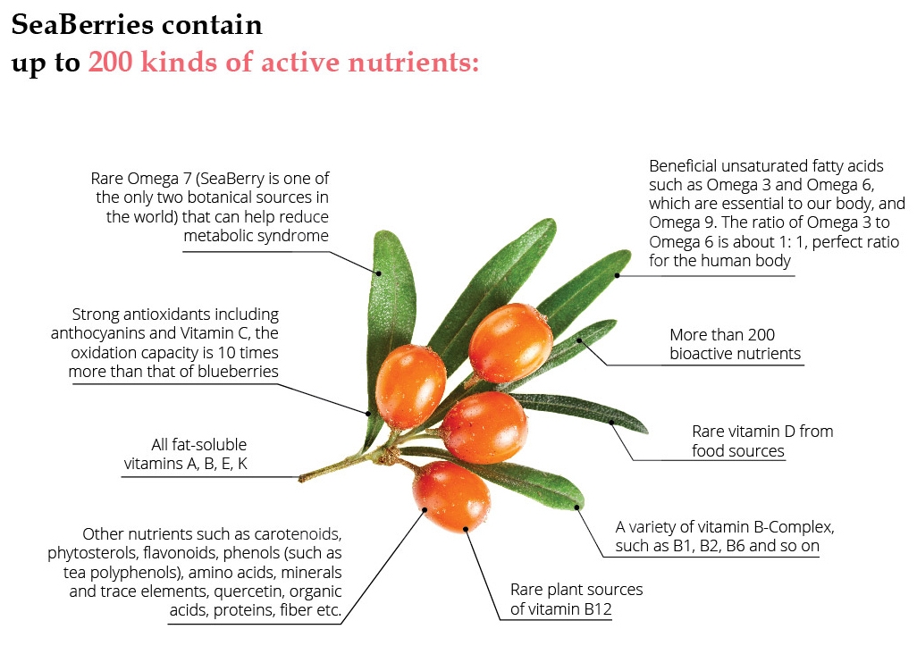 Benefits of Puredia Tibetrition Seaberry