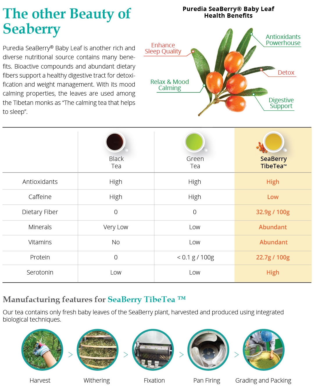 Renefits of Puredia Tibetrition Seaberry TibeTea