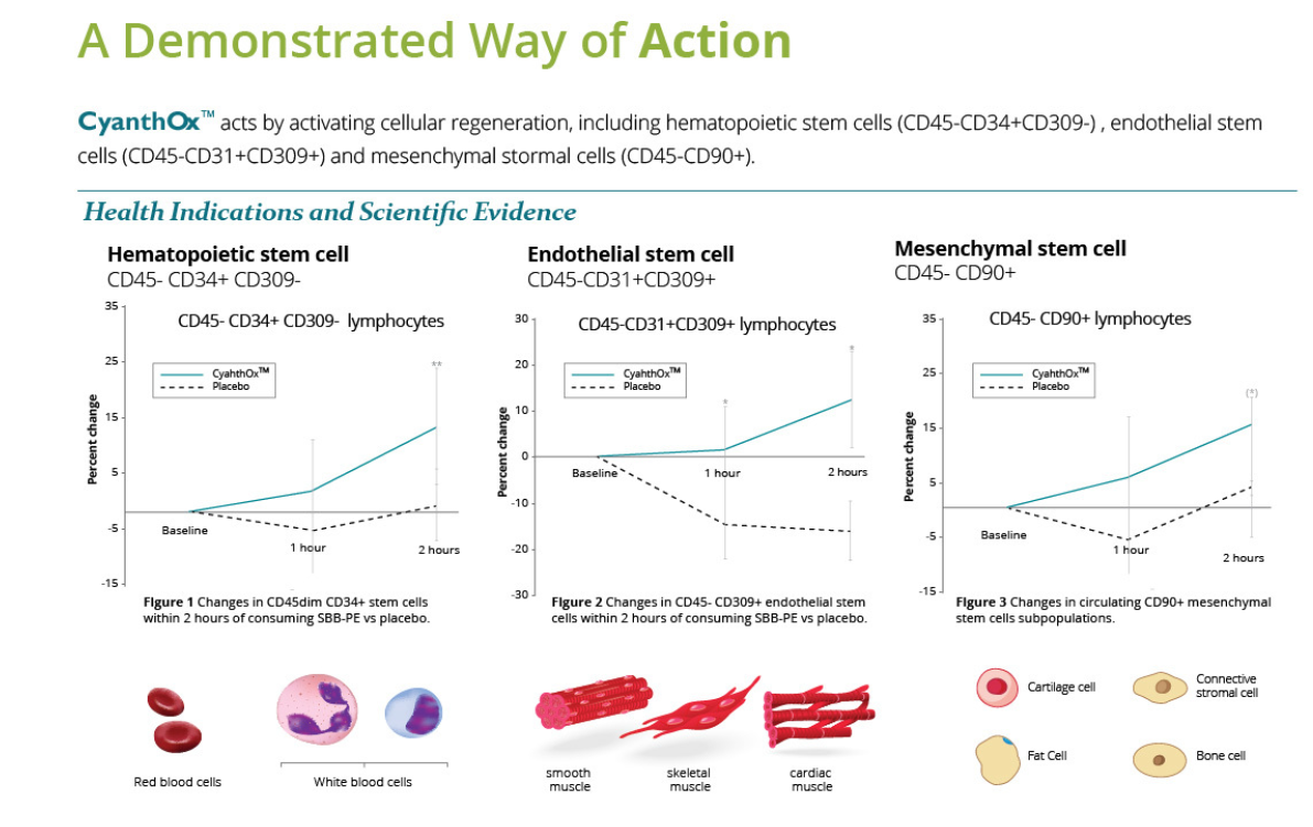 本頁圖片/檔案 - Clinical studies 2