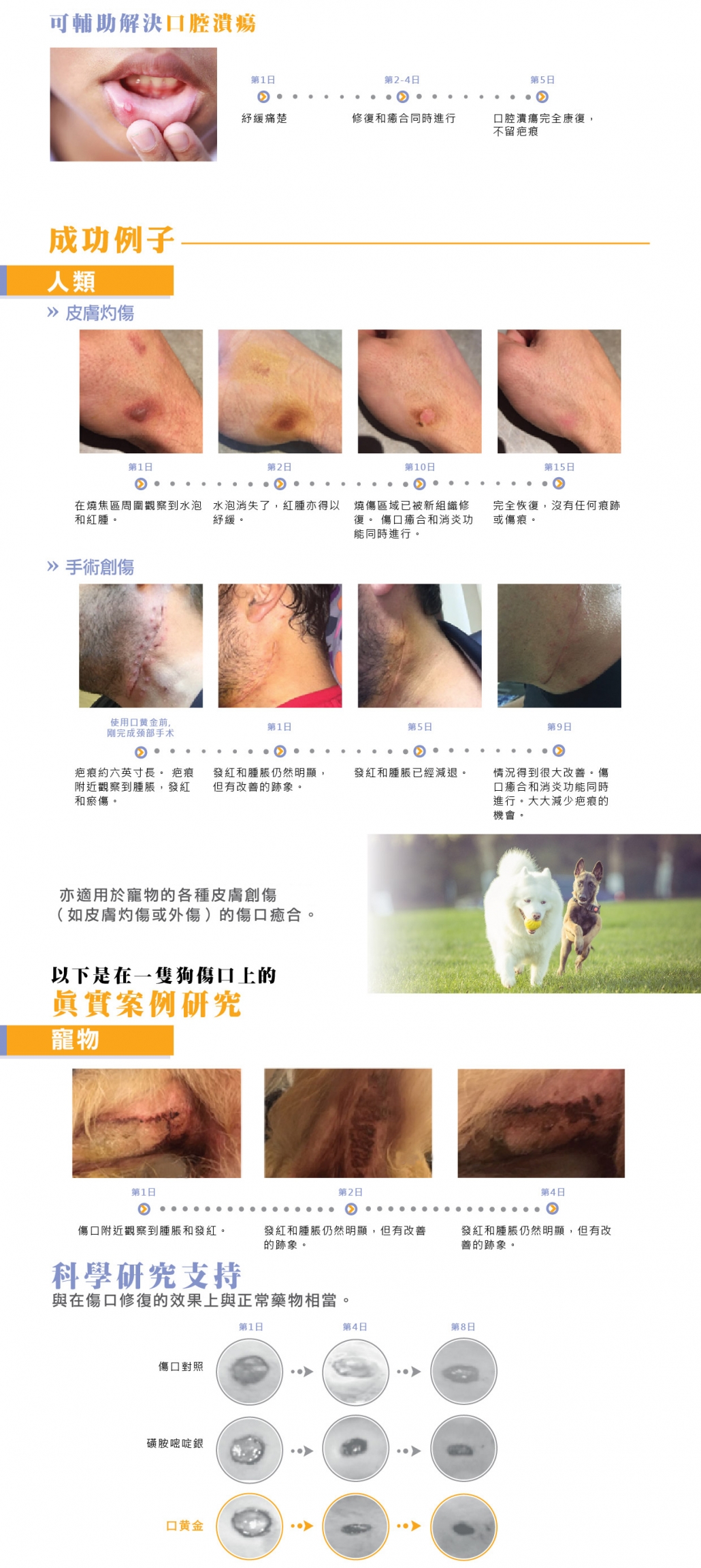 Puredia Tibetrition Tibet Oil 成功例子