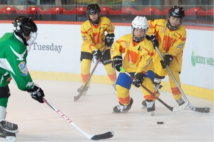 foricehockey